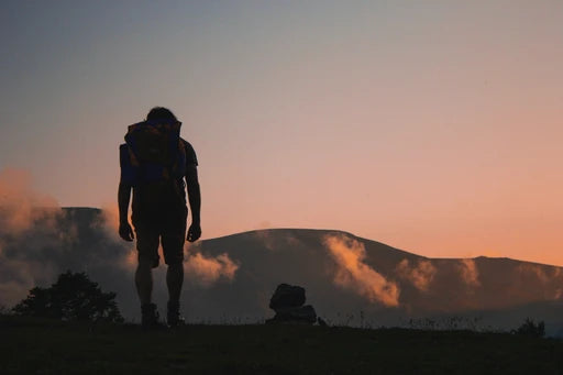 Phytoncide Oils and Emotional Well-Being: A Journey to Balance