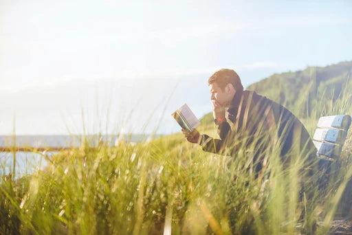 The Science Behind Focus: How Phytoncide Oils Can Enhance Concentration