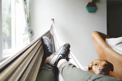 Relax and Unwind: A Guide to Phytoncide Oils for Stress Reduction
